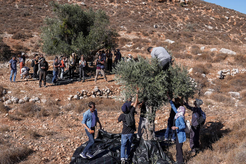 Judée-Samarie: des habitants juifs attaqués par des Palestiniens lors d ...