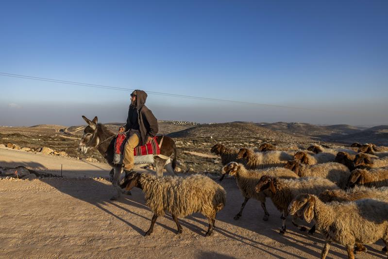 Judée-Samarie : une ferme entre Jérusalem et le Gush Etzion devenue ...